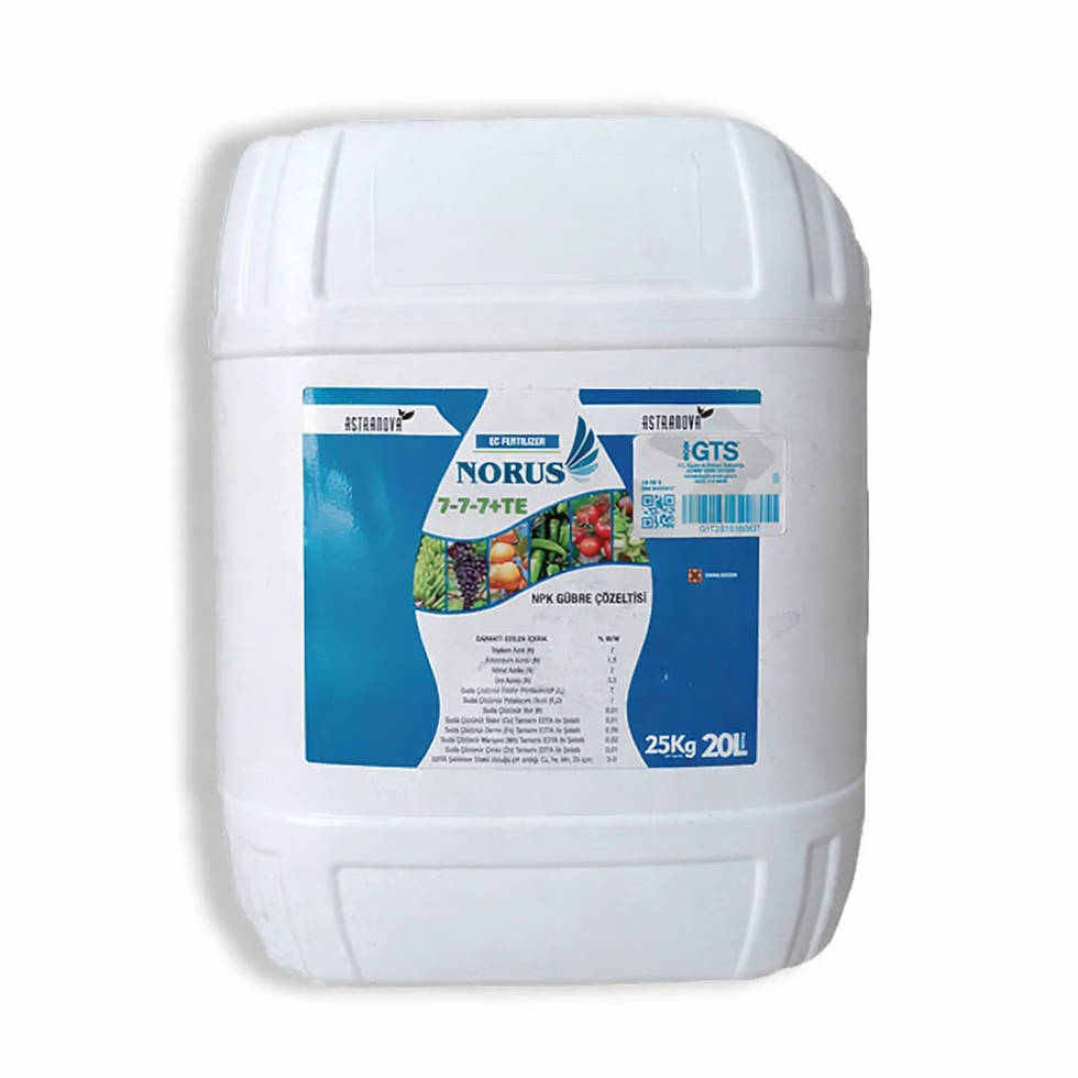 Astranova Norus 7-7-7