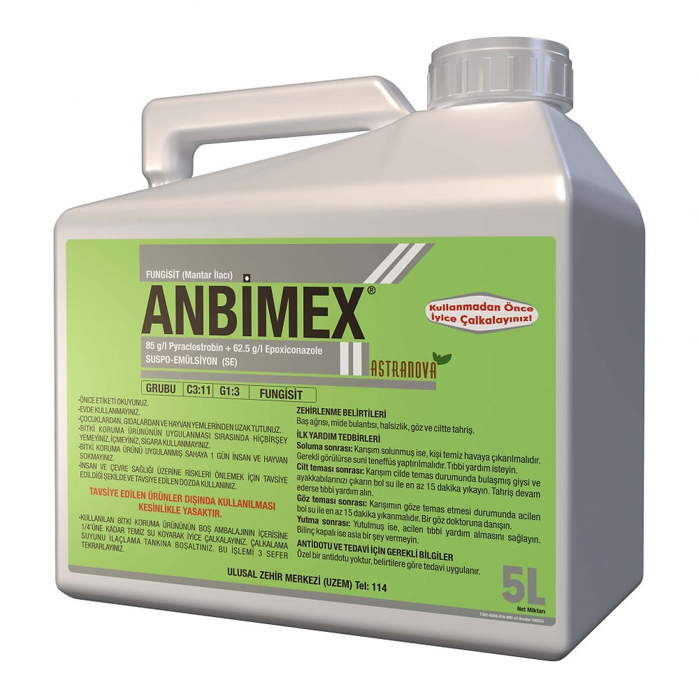 Anbimex