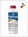 kasırga