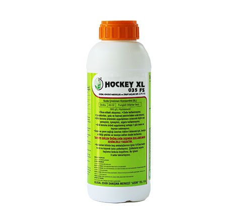 Hockey XL 035 FS