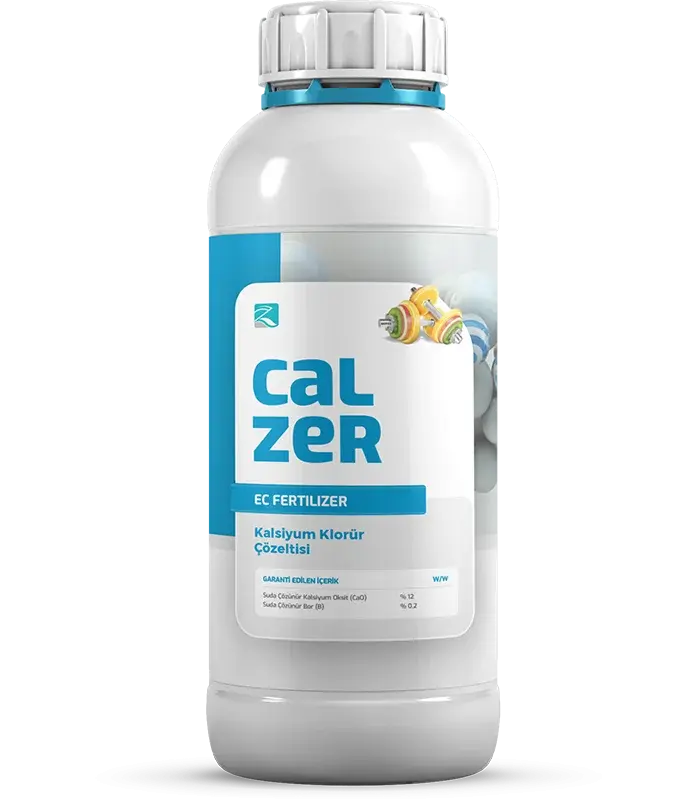 Calzer