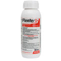 Flenter