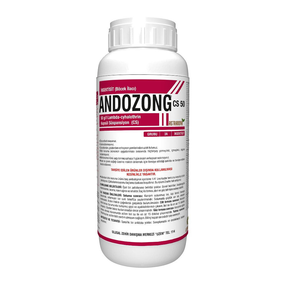 Andozong CS 50