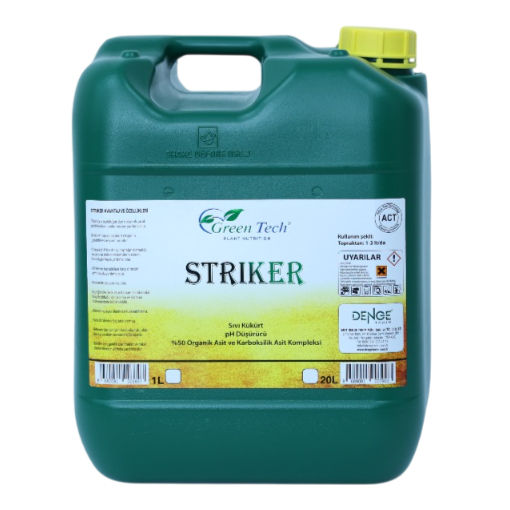 Striker