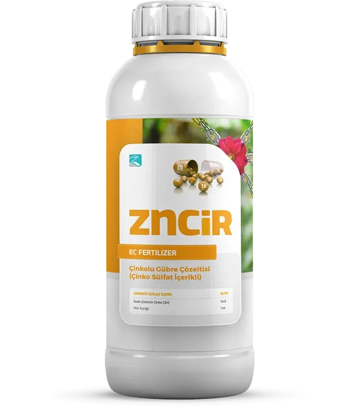 Zncir