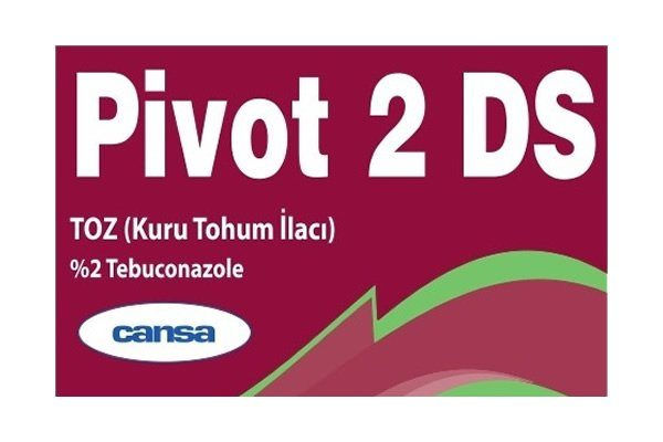 Pivot 2 DS