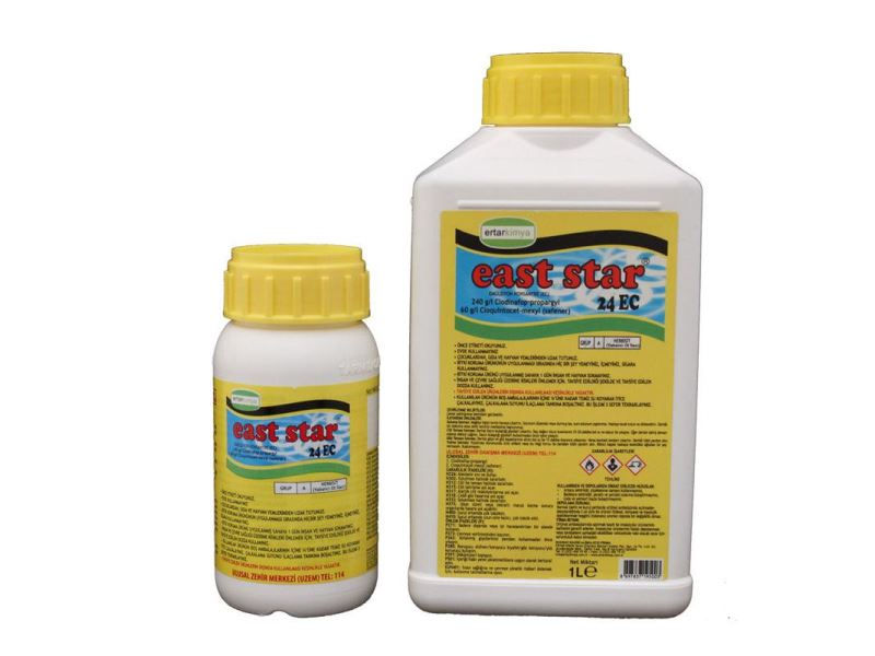 East Star 24 EC