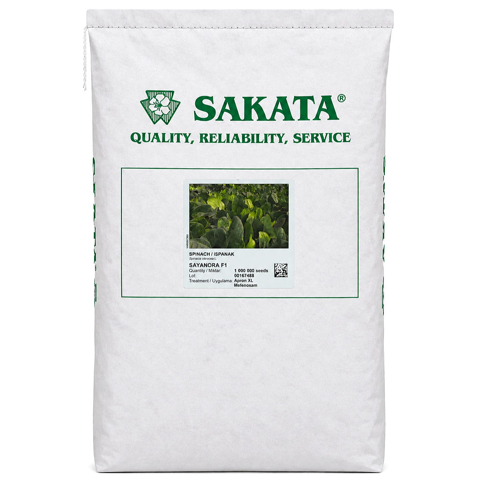 Sakata Sayanora F1 Ispanak Tohumu