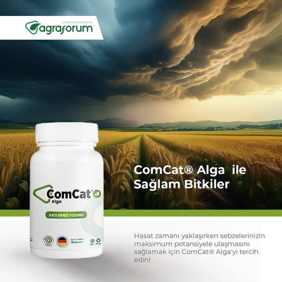 Agraforum Comcat Alga