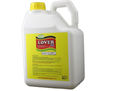 Lover SE