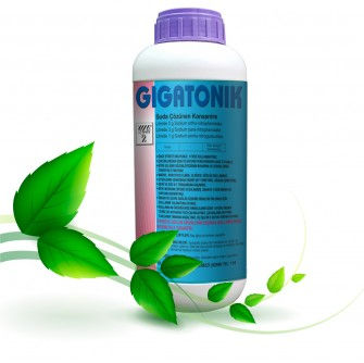 Gigatonik