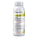 eternity