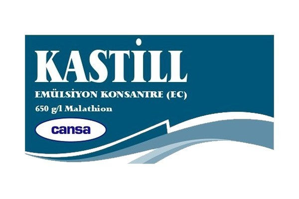Kastill