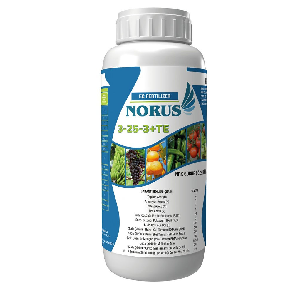Norus 3-25-3