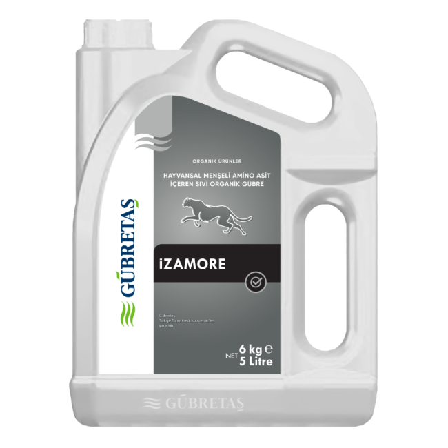 Izamore
