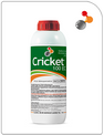 Cricket 100 EC