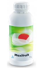 Maxifruit