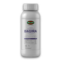 Miller Bagira