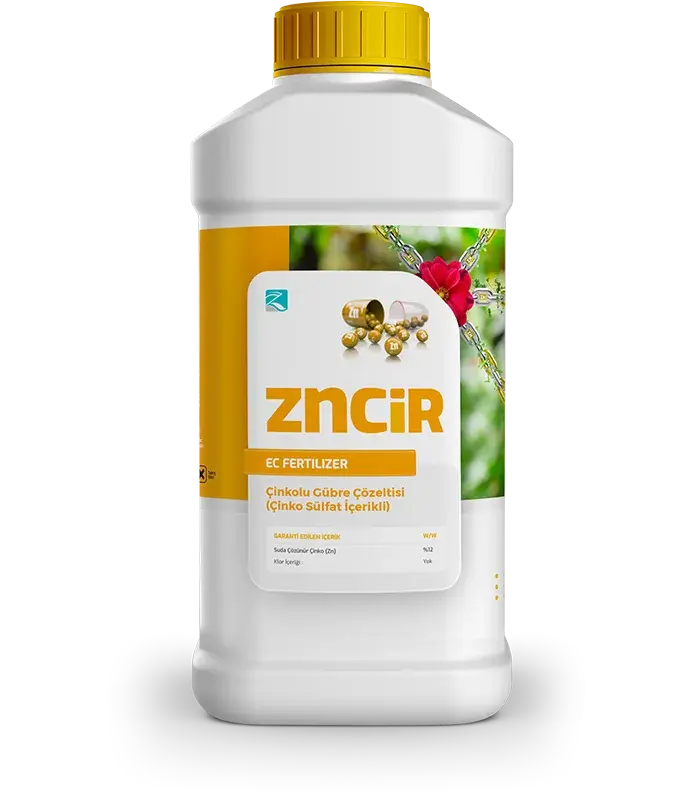 Zncir