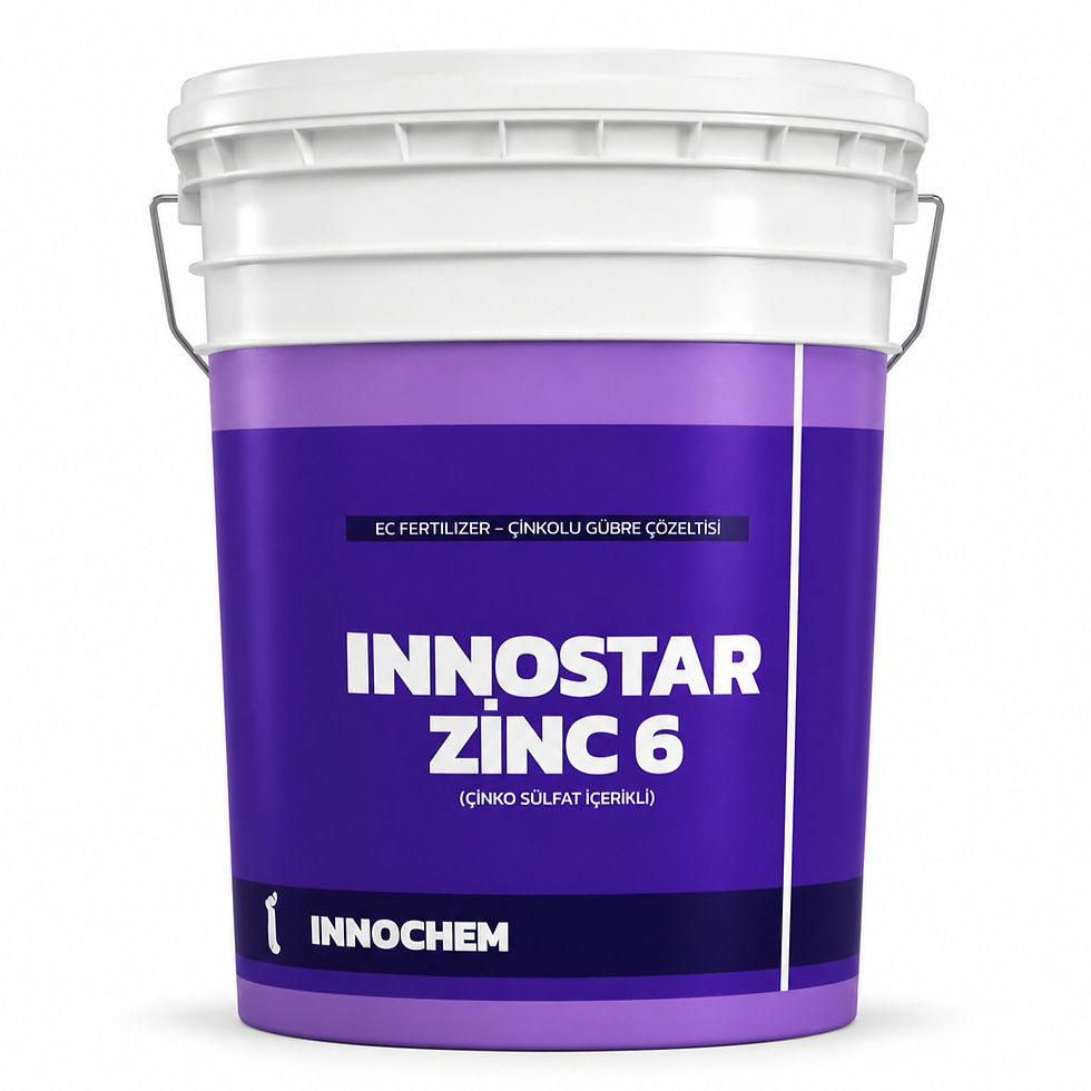 Innostar Zinc 6