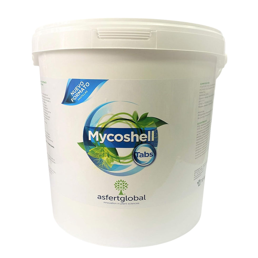 Asfertglobal Mycoshell Tabs