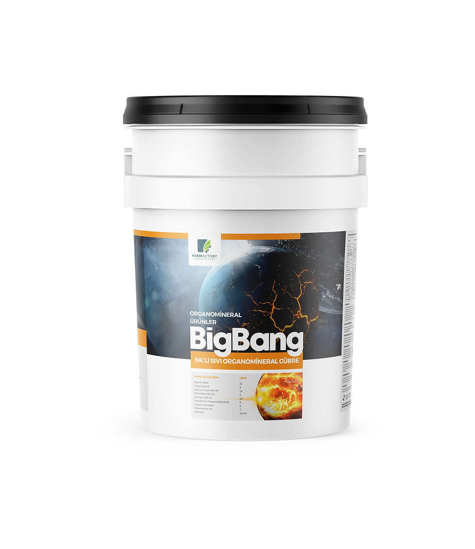 Big Bang