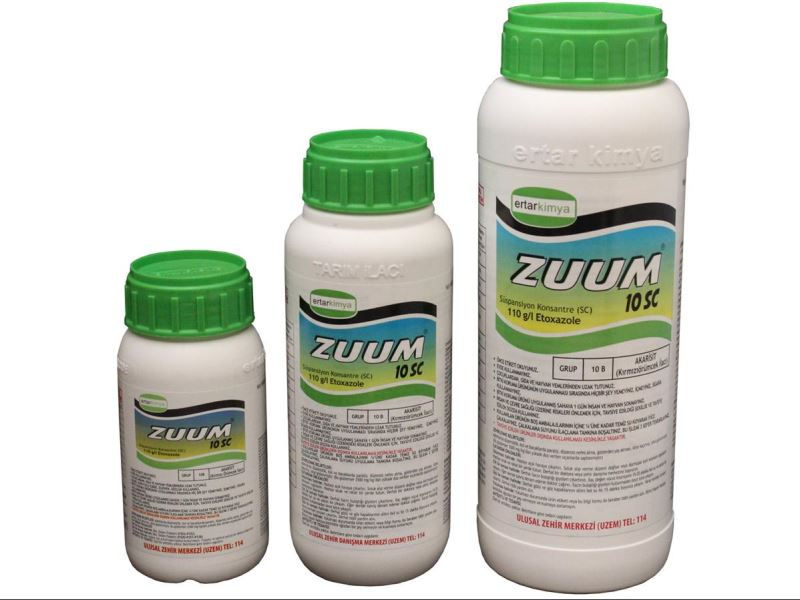 Zuum 10 SC