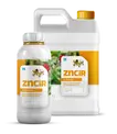 Zncir