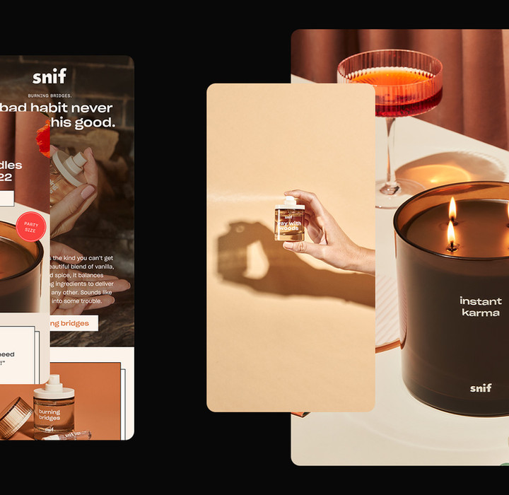 SNIF EMAIL case study 5.jpg