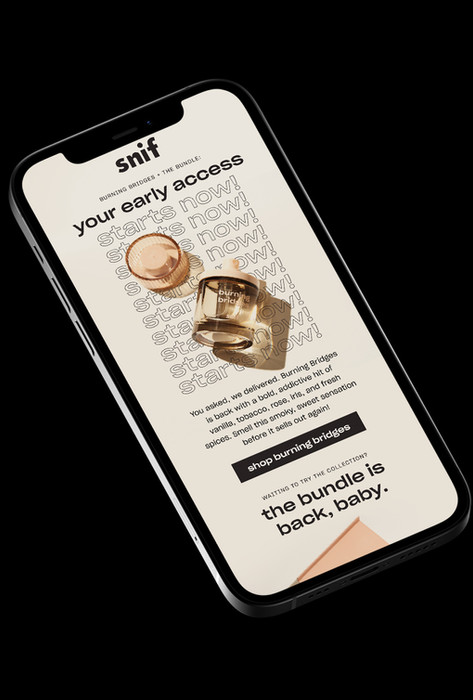 SNIF email case study 9  copy 2.jpg