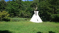 DSC_0914.jpg