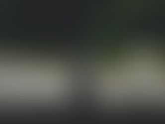 Chess master or chess coach? Which one will teach me better?