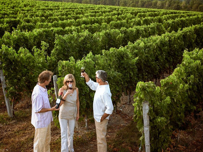 FR_Fronsac_Chateau-de-la-Riviere_wine-tasting_PhotogCB_L1050544.jpg