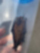 IMG_0561.jpeg