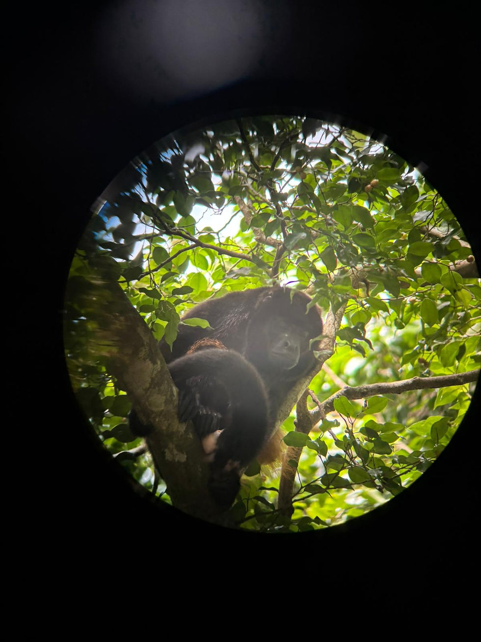 WhatsApp Image 2026-01-05 at 11.18.30 (2)