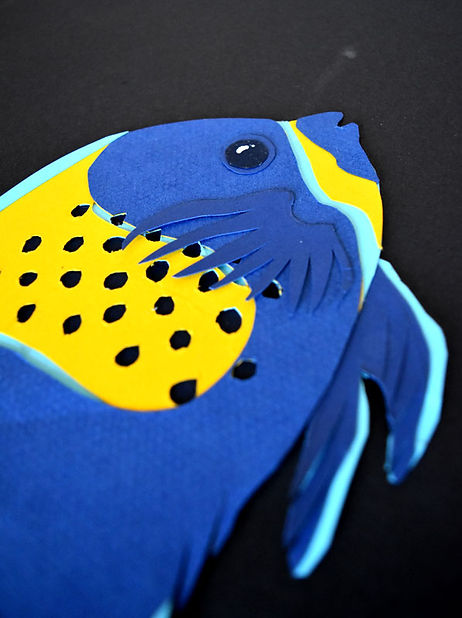 poisson ange tropical papier découpé