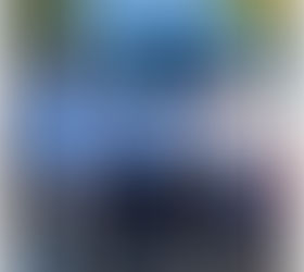 DIA-A-DIA JUNHO DE 2025