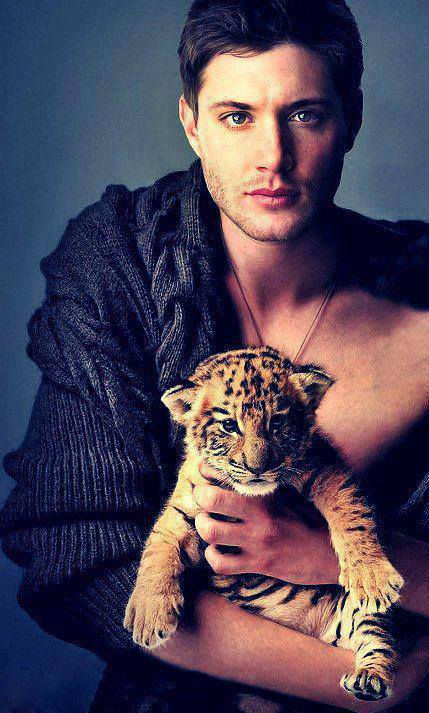 Supernatural - Jensen