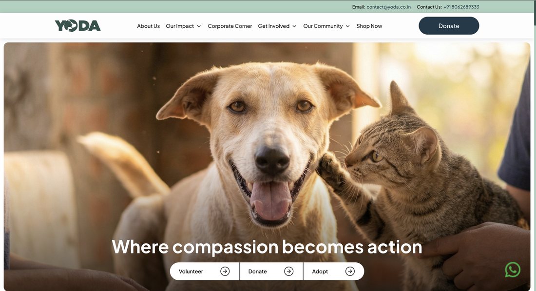 Homepage of the Yoda website