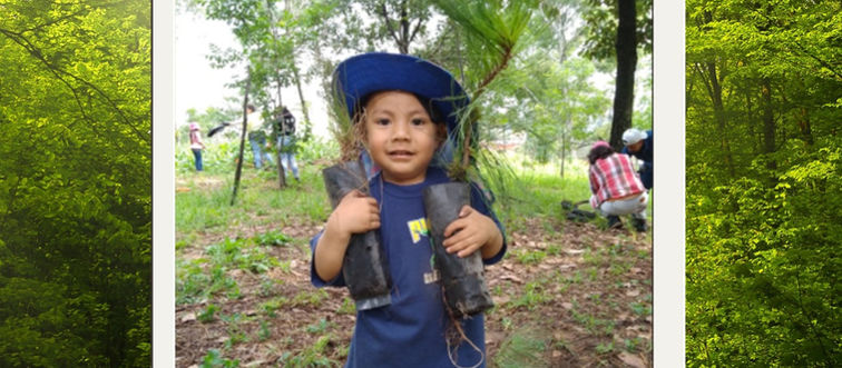 265 árboles plantados en la reforestación de Tecno Pack