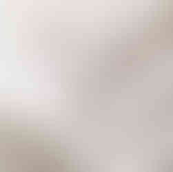 Laundress Wash and Stain Bar