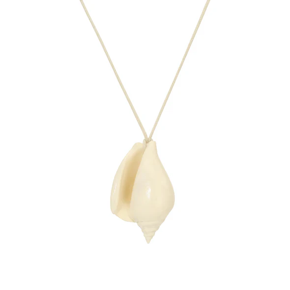 The gift of endless summer seashell necklace