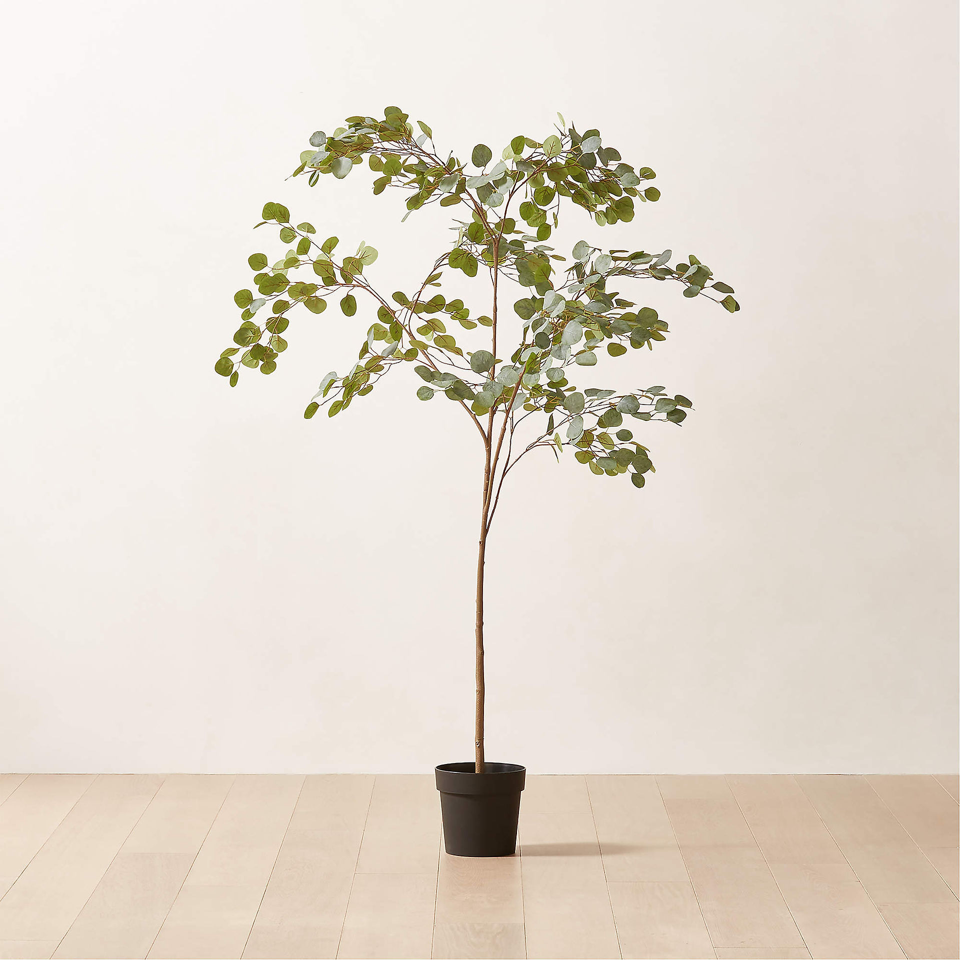Faux potted eucalyptus tree to replace christmas tree for new year home refresh reset