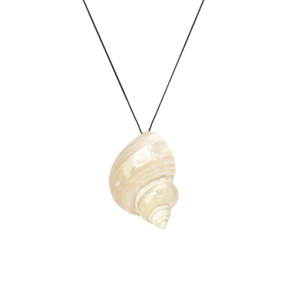 The gift of endless summer seashell necklace