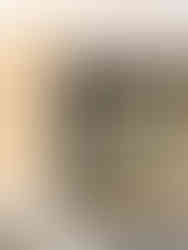 Favorite family gift idea wood carved ornaments