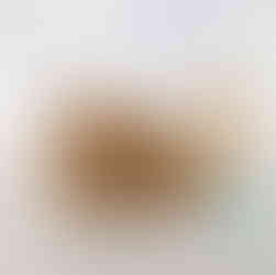 Animal Easter Baskets