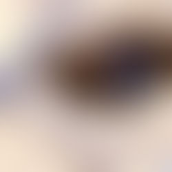 The Gift of Endless Summer