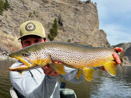 Awaiting our April Opening!