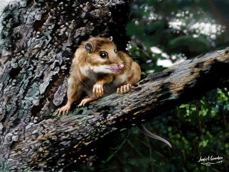 Fun Fact #4 from XLord 2012