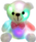colorful bear.png